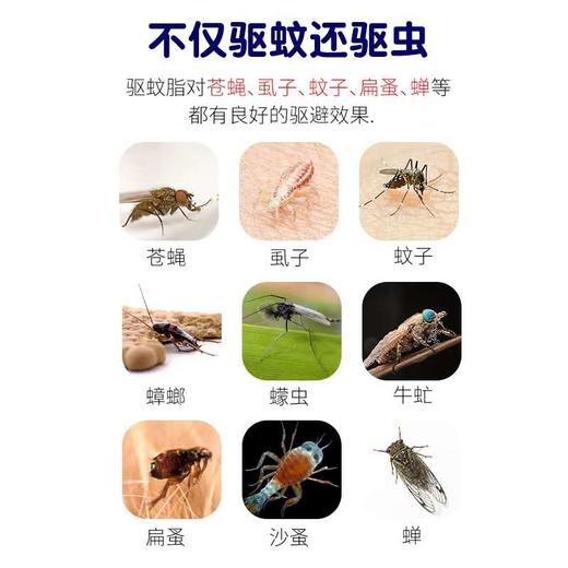 安速 驱蚊片（90晚）500ml 商品图2