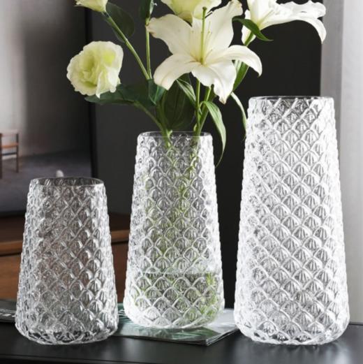 【花瓶】北欧轻奢透明玻璃花瓶水培百合客厅餐桌创意装饰摆件干花花瓶花器 商品图0