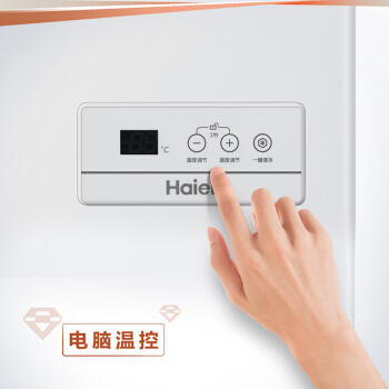 海尔（Haier）冷柜BC/BD-201HEJ 商品图4