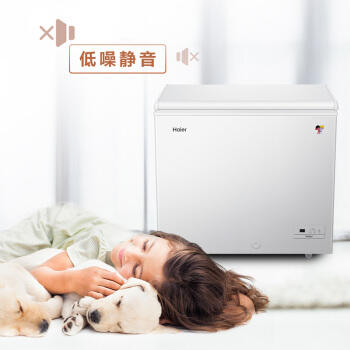 海尔（Haier）冷柜BC/BD-201HEJ 商品图1