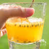 生态百香果（云南） | 合作生产*Eco-sweet  passion fruit | Coproduction 商品缩略图3