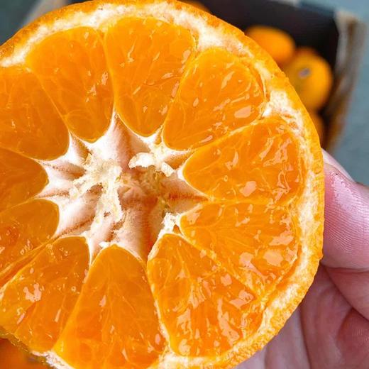 【南非软皮柑】10个/袋，纯甜爆汁 商品图5