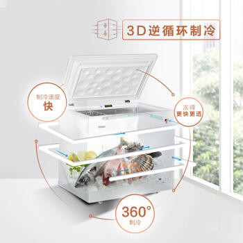 海尔（Haier）冷柜BC/BD-201HEJ 商品图2