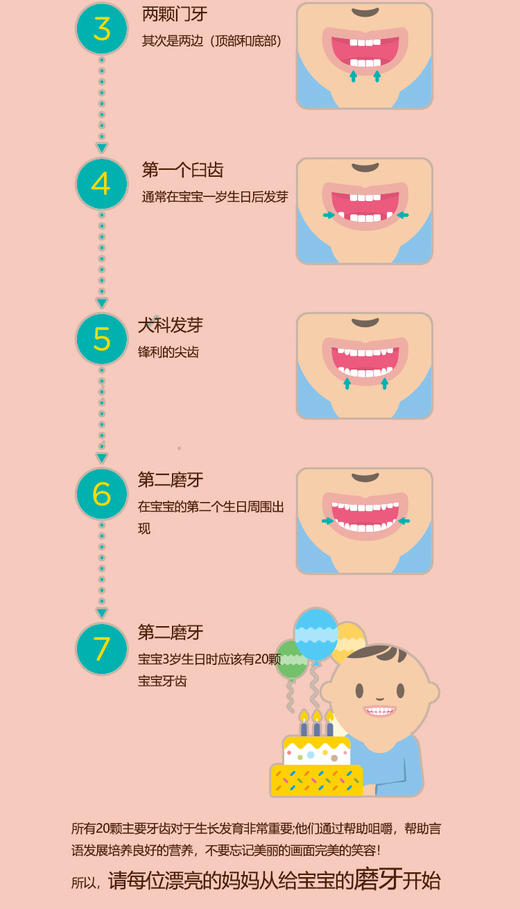 美国嘉宝gerber草莓苹果菠菜口味磨牙米饼48gJPY带授权招加盟代理 商品图2