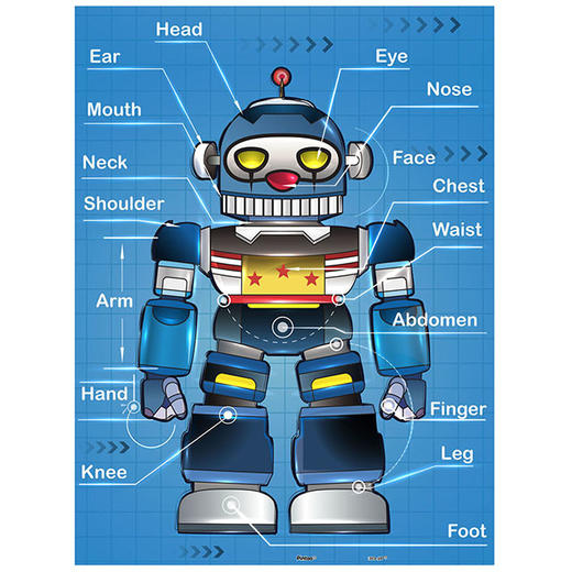 【折扣商品 不退不换】48片 T1010 身体认知机器人 商品图0