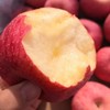 洛川苹果（可以连皮一起吃的脆苹果）8斤大果（早熟富士） 商品缩略图11