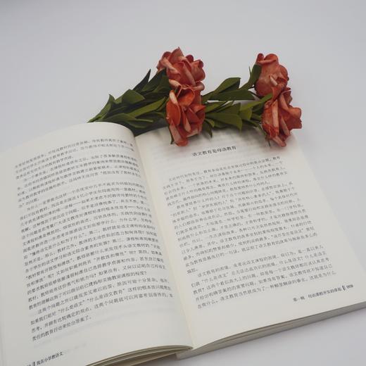 我在小学教语文 母语课程的开发与实施 大夏书系 李竹平 商品图3