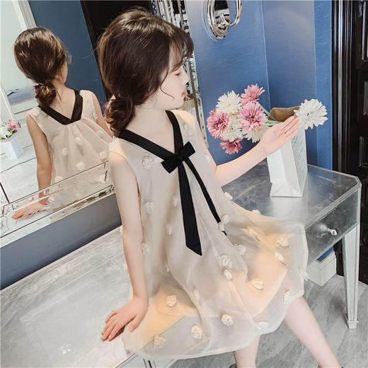 SY-TX95193夏季新款韩版儿童裙女孩洋气公主裙 商品图1