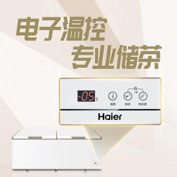 海尔（Haier）冷柜BC/BD-825TEA 商品图6