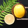 安岳黄柠檬 水果中的维C仓库 鲜美味浓 果味酸爽 皮薄多汁 商品缩略图5