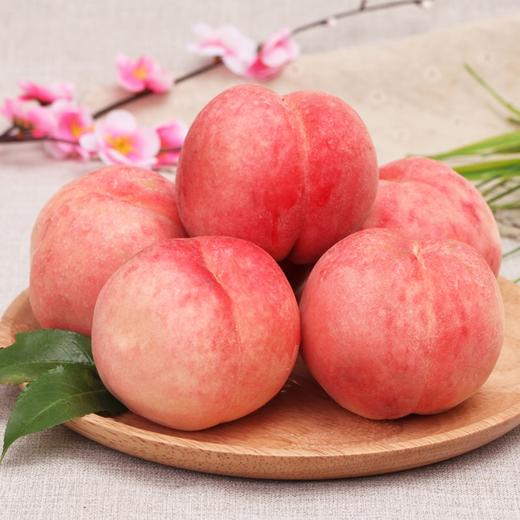 【山东 · 蒙阴 水蜜桃 】5斤/12个左右 脆甜爽口 鲜嫩多汁