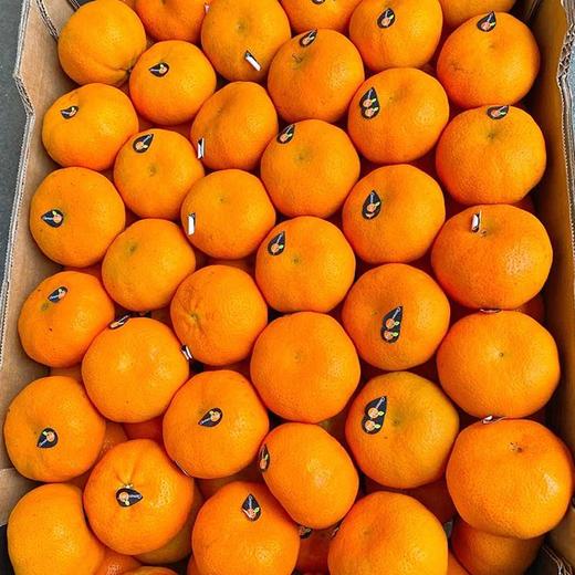 【南非软皮柑】10个/袋，纯甜爆汁 商品图6