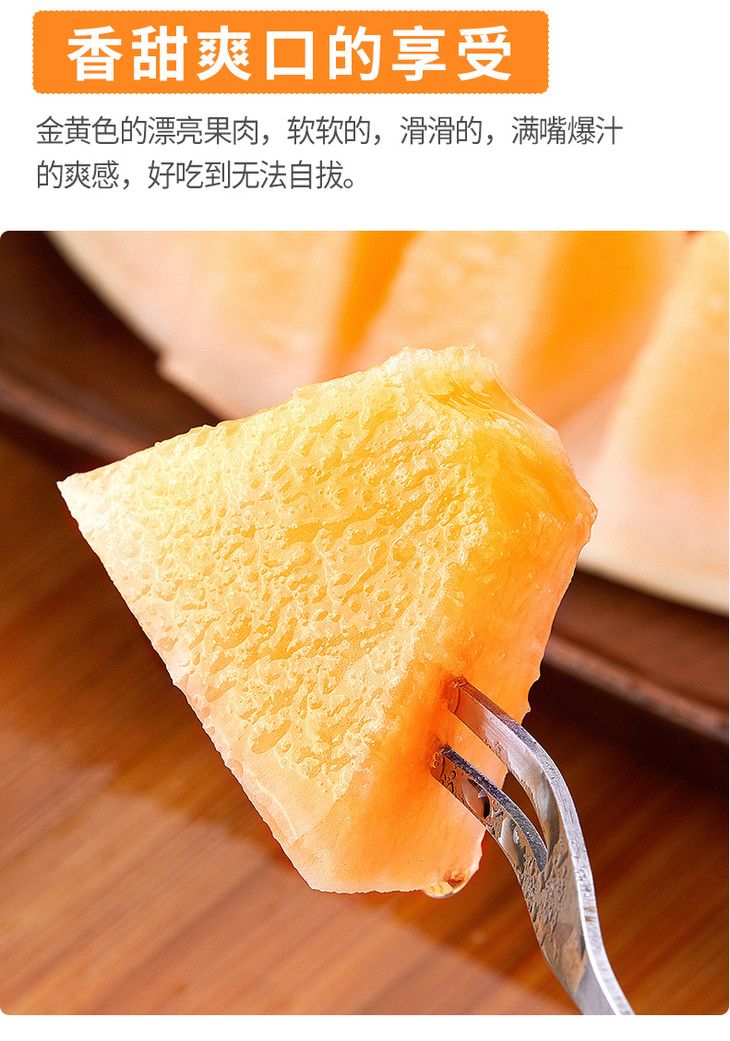 金蜜瓜两颗装约6斤