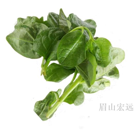 软浆叶一份约500g份