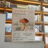 末日松茸 资本主义废墟上的生活可能 薄荷实验 罗安清 商品缩略图1