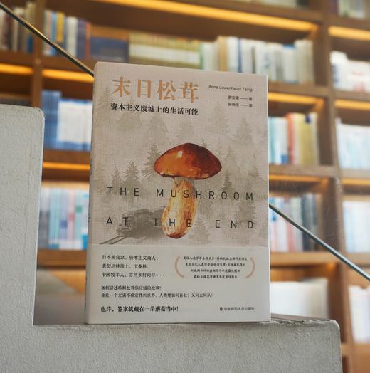 末日松茸 资本主义废墟上的生活可能 薄荷实验 罗安清 商品图1