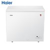 海尔（Haier）冷柜BC/BD-201HEJ 商品缩略图0