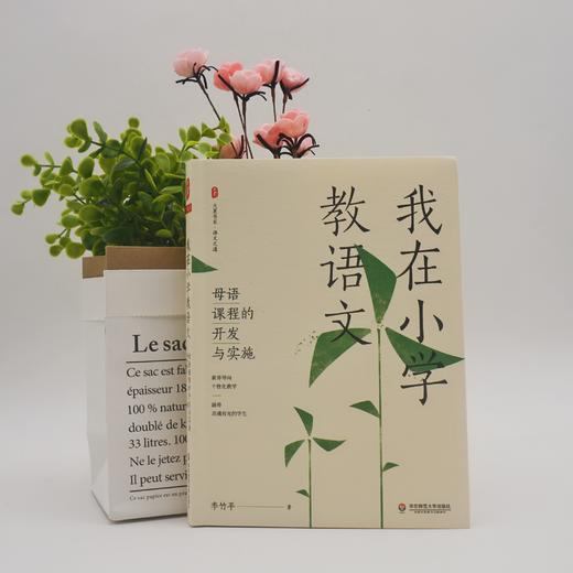 我在小学教语文 母语课程的开发与实施 大夏书系 李竹平 商品图1