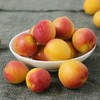新疆哈密杏新鲜水果 商品缩略图4