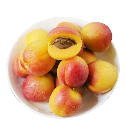 新疆哈密杏新鲜水果 商品图2
