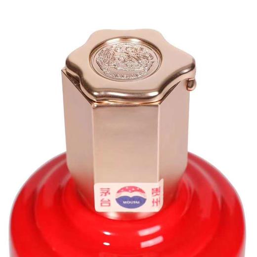 贵州茅台酒1949-2019（大庆典）53度700ML 商品图3