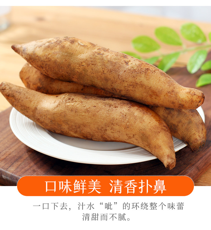 云南高原雪莲果5斤9斤口味鲜美清香扑鼻