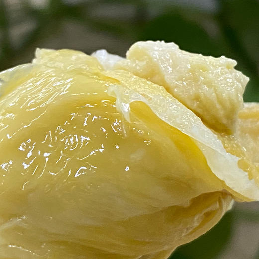 马来西亚空运D197猫山王榴莲(118元/元，按实称重，多退少补） | 历尽千辛，漂洋过海，目前海关查验核酸检测已通过，确保大家食品安全，请放心食用！ 商品图4