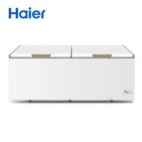 海尔（Haier）冷柜BC/BD-825TEA