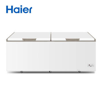 海尔（Haier）冷柜BC/BD-825TEA 商品图0