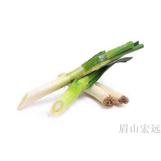 精选大葱一根约200g份