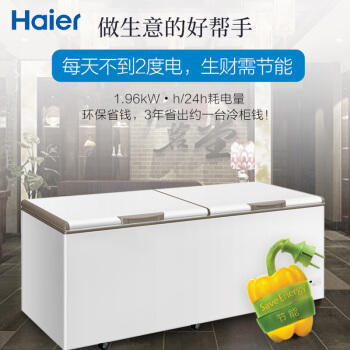 海尔（Haier）冷柜BC/BD-825TEA 商品图1