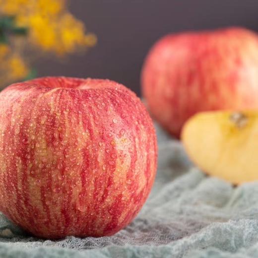 洛川苹果（可以连皮一起吃的脆苹果）8斤大果（早熟富士） 商品图9