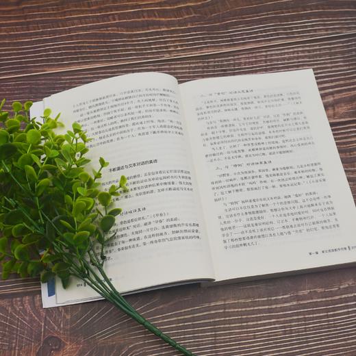 小学阅读教学创意 大夏书系阅读教育 特级教师孙建锋著 小学语文教师必读 商品图3