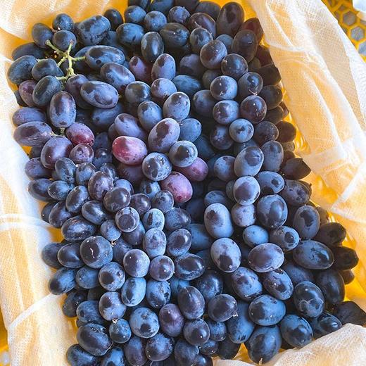 【新疆无核紫葡萄】4斤/框 商品图6