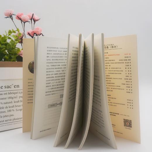 我在小学教语文 母语课程的开发与实施 大夏书系 李竹平 商品图2