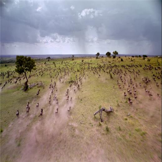 球幕飞行影院门票 商品图4