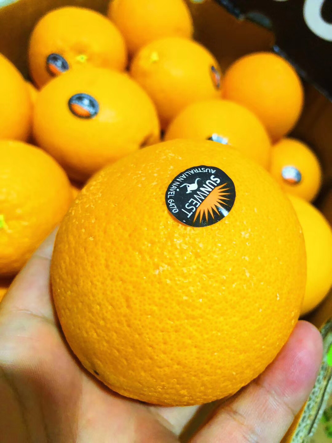 澳洲阳光甜橙非常嫩化渣橙子果皮颜色偏橙红色肉质细嫩汁水丰润鲜甜橙