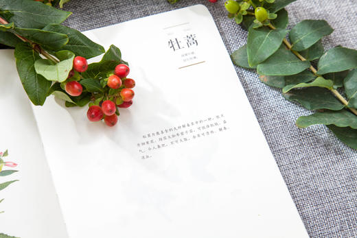 本草流芳（精选100种芳香的本草植物， 淡淡幽香、唯美形态，感受本草的纯粹。） 商品图2