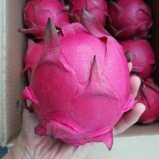 套餐组合 商品图2