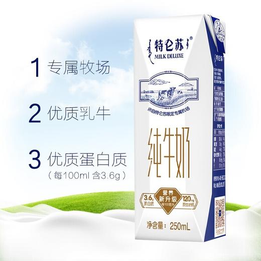 蒙牛特仑苏纯牛奶250ml 商品图1