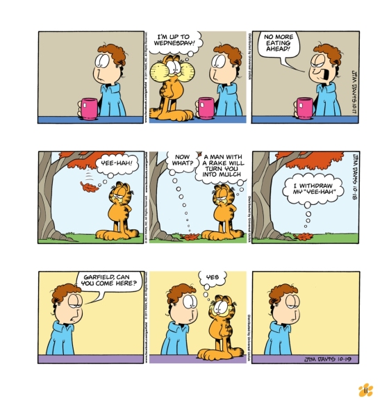 中商原版加菲猫漫画三合一合订本20英文原版garfieldfatcat3pack20jim