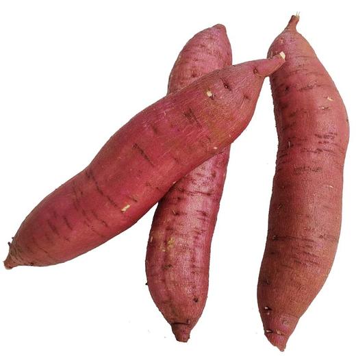 陕西黄河滩地板栗红薯 5斤/10斤装 包邮 商品图2