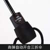 玻纤自动折叠伞德国欧赛姆EUROSCHIRM风暴伞超轻晴雨两用3032 商品缩略图2