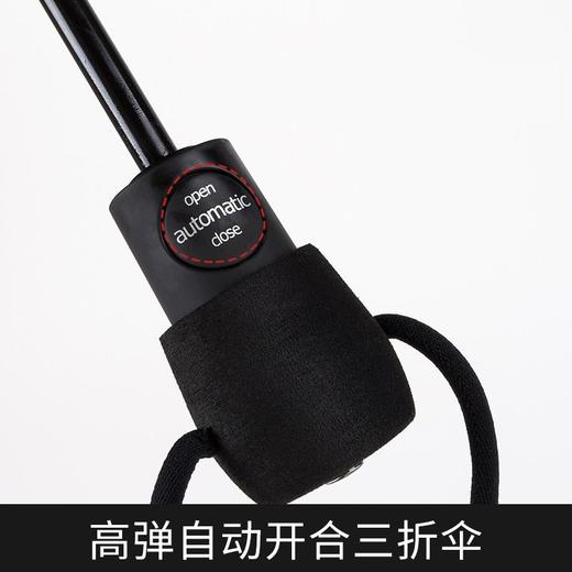 玻纤自动折叠伞德国欧赛姆EUROSCHIRM风暴伞超轻晴雨两用3032 商品图2