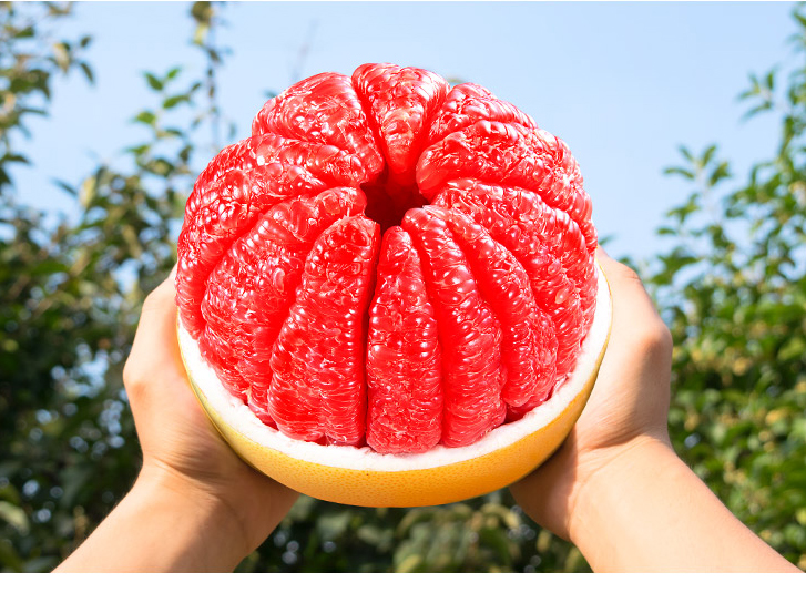 【8.9元/袋】袋红柚（三粒）(1500860)