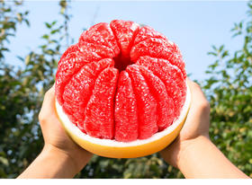 【8.9元/袋】袋红柚（三粒）(1500860)