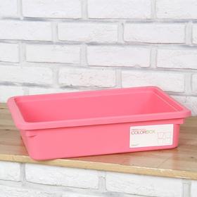 [Daiso] Holmes Color Living Box (Pink/Small) 粉色小号收纳盒JPY带授权招加盟代理