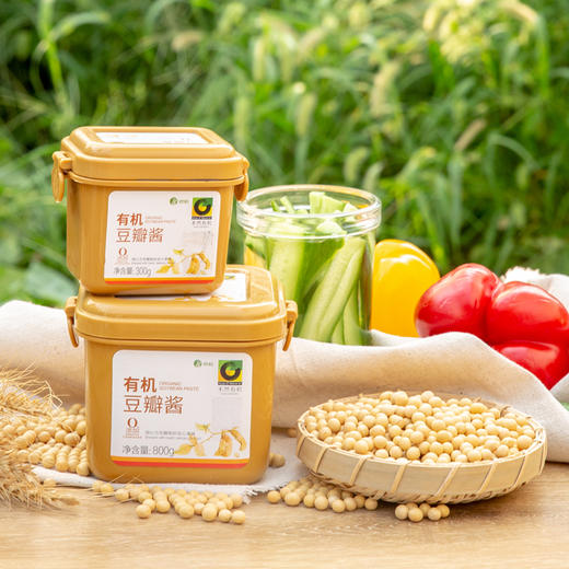 禾然有机豆瓣酱 | 公平贸易* Organic soybean paste | Fair-trade 商品图1