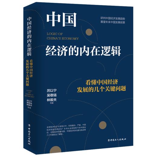 中国经济的内在逻辑：看懂中国经济发展的几个关键问题 商品图1