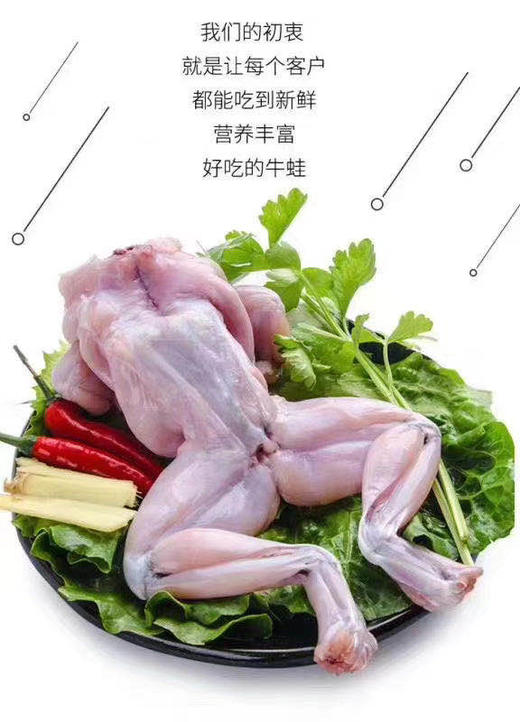 杰克船长牛蛙1000g/袋 商品图3